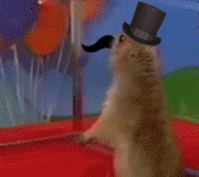 giphy b.gif